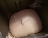 黒糖みるくプチパン♪作り方1写真