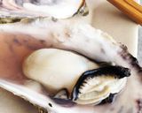 レンジでチンするだけ！殻付き牡蠣簡単調理作り方2写真