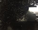 ☆大豆とひじきの煮物作り方1写真