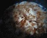 すき焼き作り方4写真