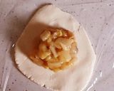 おから＆豆腐＆米粉＊おやき 白菜あん作り方5写真
