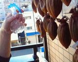 干し柿(覚え書き)作り方9写真