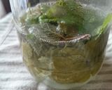 自家製酵母の作り方☆ミント★中種(元種)作り方3写真
