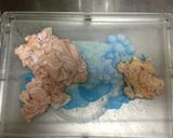 プリプリ！鶏皮の煮込み作り方1写真