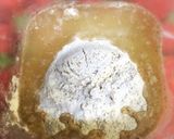 天然酵母液からおこす天然酵母元種(中種)作り方2写真