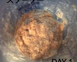 天然酵母液からおこす天然酵母元種(中種)作り方3写真