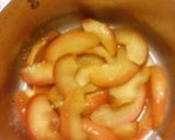 セミドライアップル作り方8写真