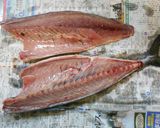 愛知の魚100選 自家製塩サバの湯煮作り方2写真