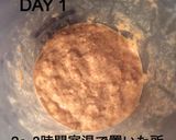天然酵母液からおこす天然酵母元種(中種)作り方4写真