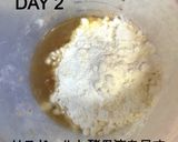 天然酵母液からおこす天然酵母元種(中種)作り方6写真