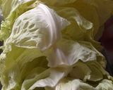 ロールキャベツ♪圧力鍋でほったらかし~作り方2写真
