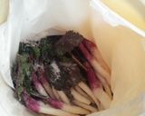 日野菜の漬物☆作り方5写真