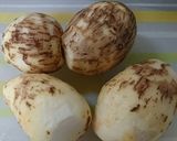 開きナメコなど5種キノコと里芋の田舎煮作り方5写真