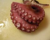 タコのオリーブ油煮；スペイン風作り方8写真