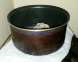 絶品！！夢見る牡蠣のクリームパスタ☆作り方2写真