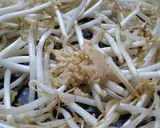 食感パリパリ　もやし炒め作り方5写真