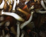 たっぷりきのこ五目炊き込みごはん作り方5写真