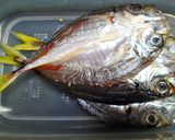 アジの干物（塩干し）作り方9写真