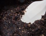 塩麹甘煮黒豆で♪黒豆の粒あん作り方4写真