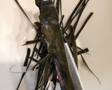簡単＊パリパリ美味＊大根の千枚漬け作り方2写真