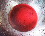 ナッツとロースートビーツの素敵サラダ作り方4写真