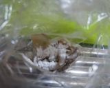 里芋のガーリック炒め作り方2写真