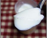 男のロマン超ド濃厚MAXなめらか杏仁豆腐作り方19写真
