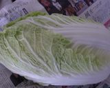 漬物容器で白菜漬け♪作り方1写真