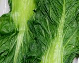 たか菜巻卵作り方15写真