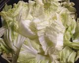 白菜の煮込みハンバーグ作り方1写真