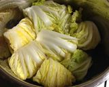 鶏ムネ肉、白菜で巻いて蒸しちゃいました作り方4写真