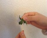 いちごのへたも使って♪クリスマスデコ作り方1写真