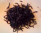 生姜風味＊ひじきの炊き込みご飯作り方2写真