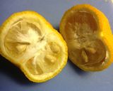 柚子の砂糖漬け作り方1写真