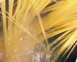 魚介トマトパスタ作り方6写真