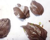 飾り用葉っぱチョコレート作り方10写真