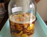 発酵鬱金作り方3写真