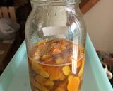 発酵鬱金作り方4写真