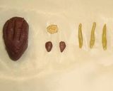 おせちの片隅にいかが?イモシシ作り方4写真
