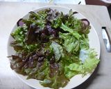 鶏のささみサラダ作り方7写真