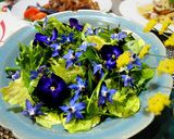 ブルーサラダ作り方7写真