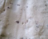 *Apfel Strudel*作り方4写真