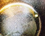 海老とブロッコリーのバジル炒め作り方6写真
