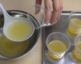 缶詰パイナップルゼリーの実験【天狗缶詰】作り方5写真