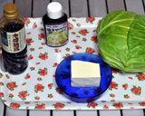 豆腐＋やみつき塩ダレ×ざく切りキャベツ作り方1写真