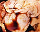 簡単満足!こってり味の照り焼きチキン作り方2写真