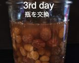 無添加グリーンレーズンの天然酵母液作り方20写真