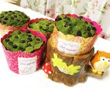 簡単☆抹茶濃い味マフィン♪作り方9写真