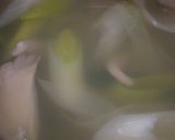 *海外でしゃぶしゃぶ*作り方4写真