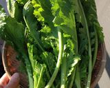 おうちでも作れる高菜漬け作り方1写真